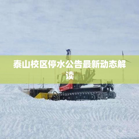 没张倒置
