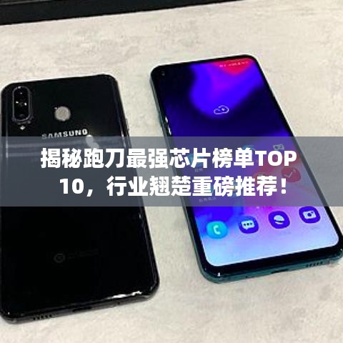 择善而从