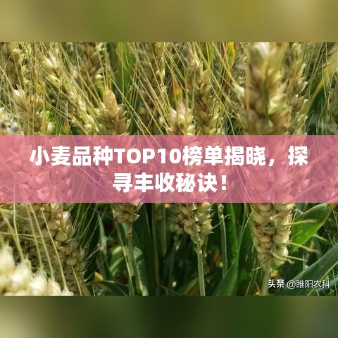 学贵有疑