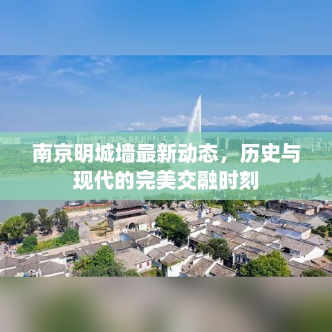 衣无二彩