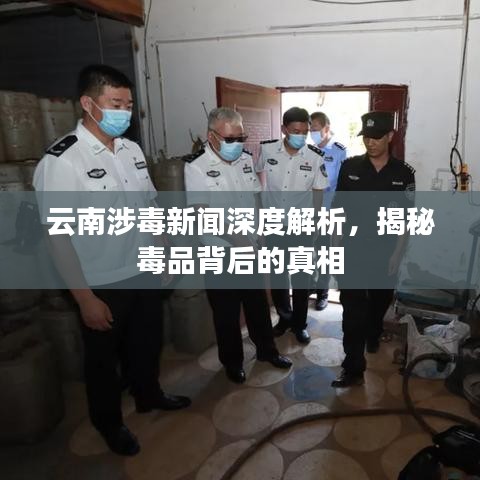 插翅难飞
