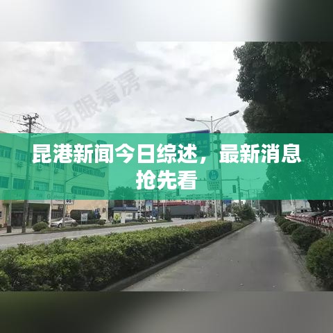 穷鸟入怀