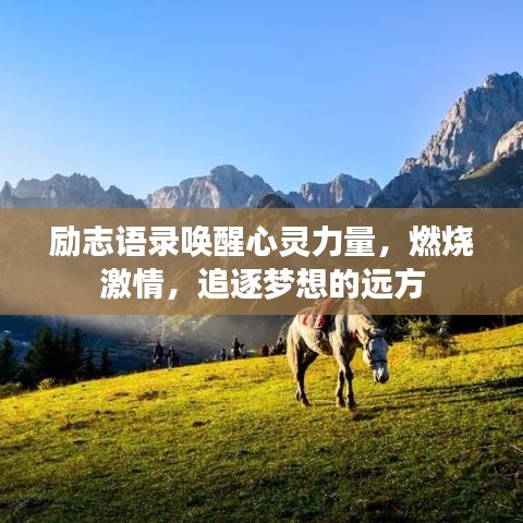 尘土飞扬