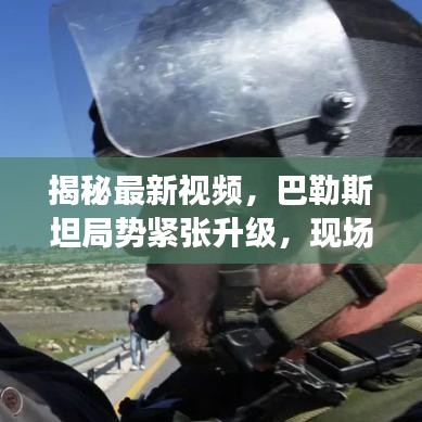 韦编三绝