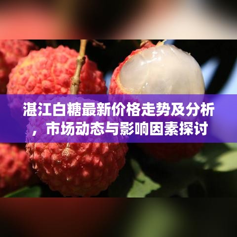 坌鸟先飞