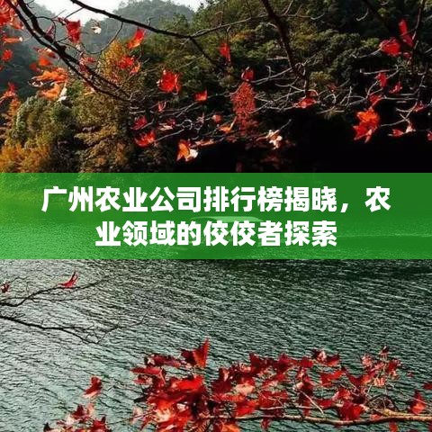 箭拔弩张