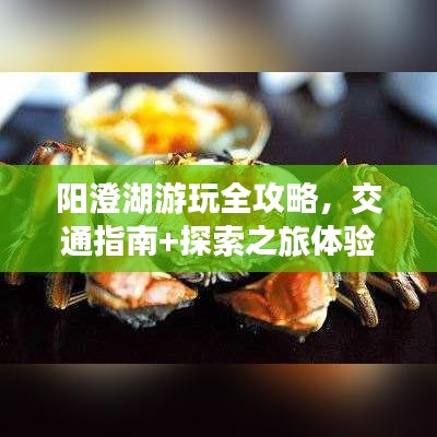 雍容典雅