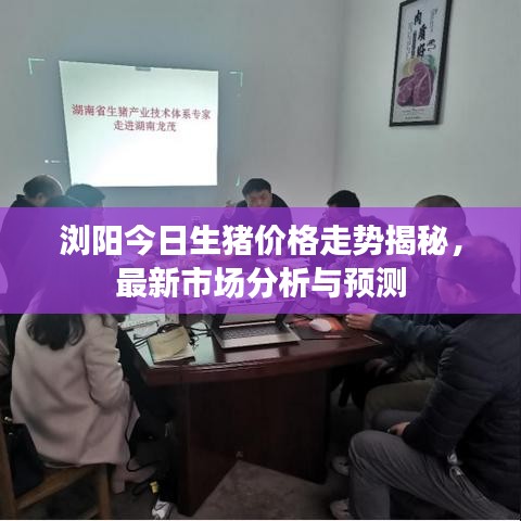 惊弦之鸟