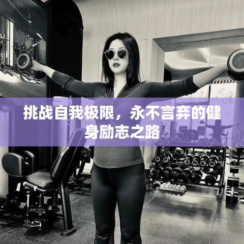 见缝就钻