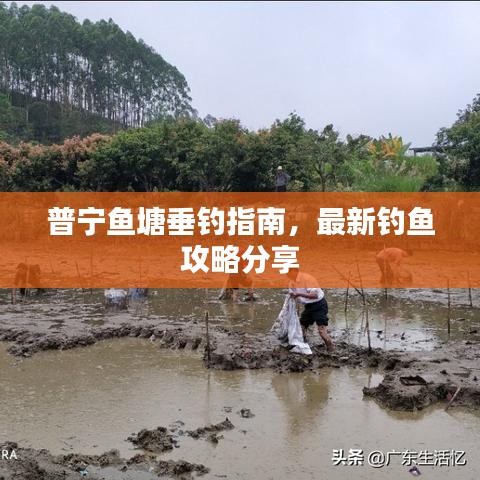 程门飞雪