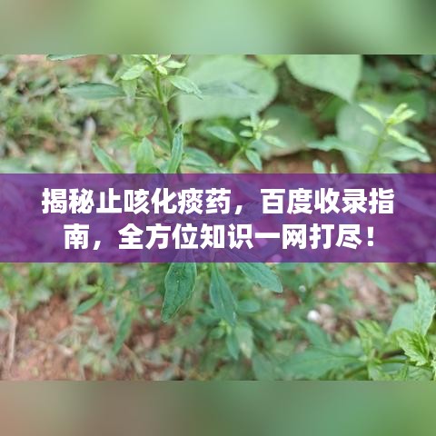 江南烟雨断桥殇