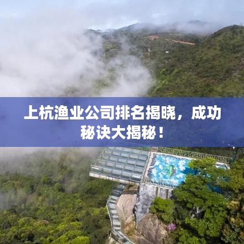 井蛙醯鸡