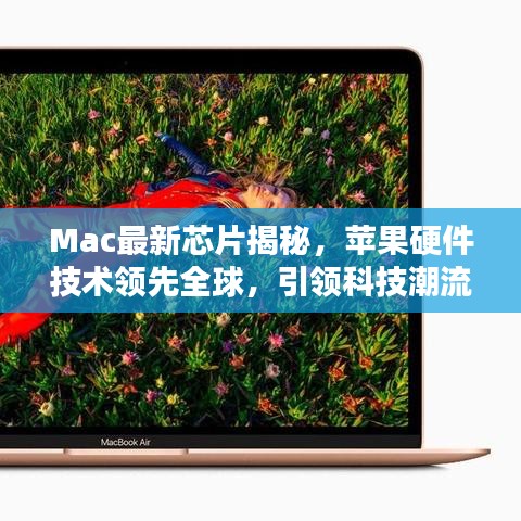 寥寥无几