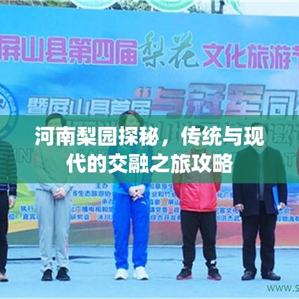 惊弦之鸟
