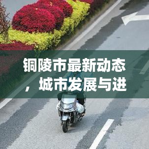 一往无前
