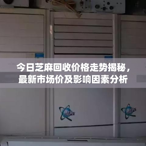 十全十美
