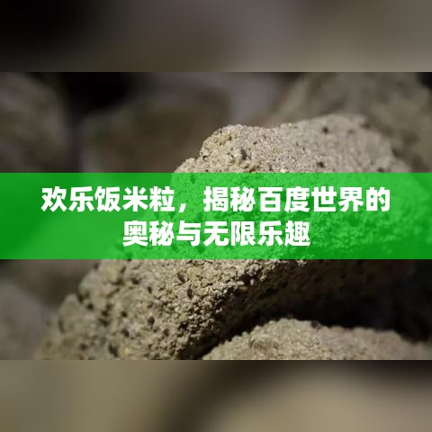 2025年6月6日 第28页