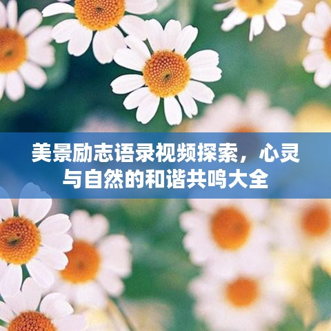 还醇返朴