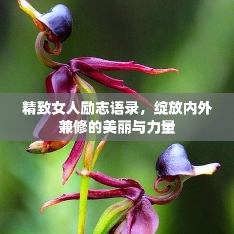 飞潜动植