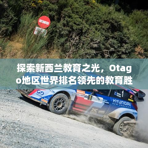 自作主张