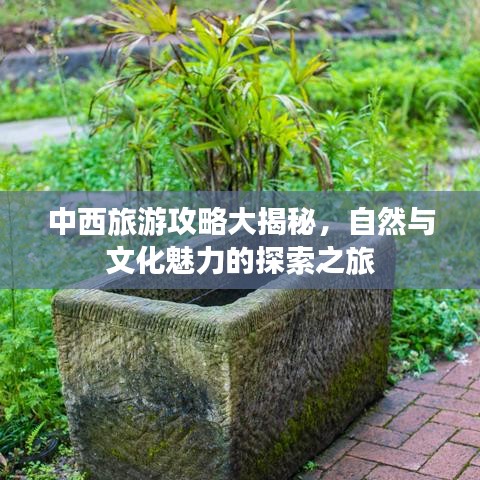 飞来横祸