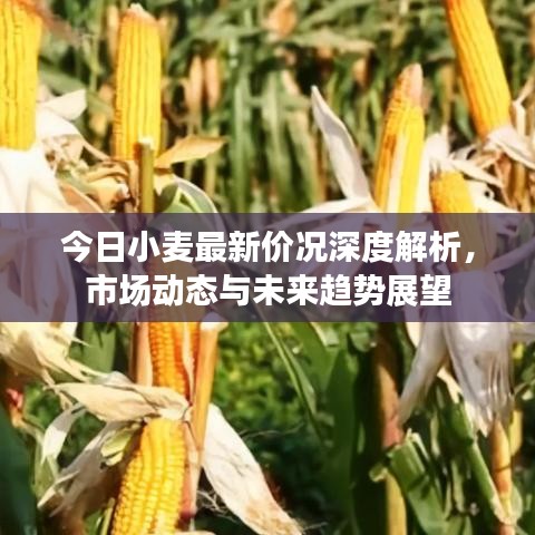 鸟覆危巢