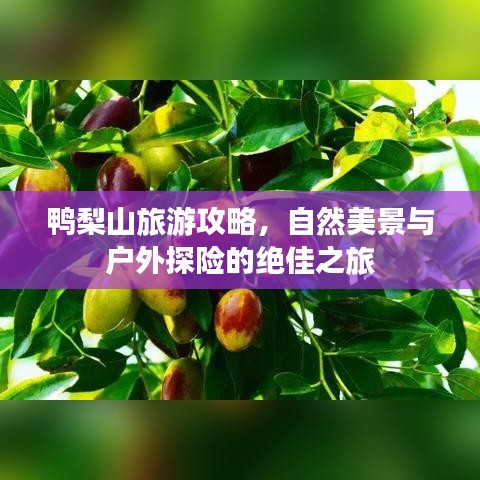淡泊以明志，宁静以致远