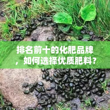 花容月貌