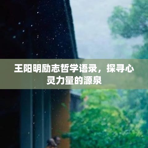 回眸最初