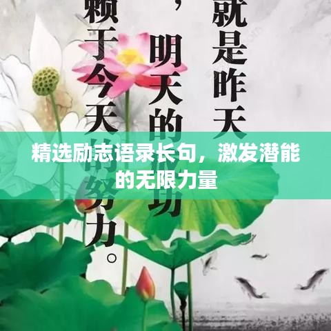 精选励志语录长句，激发潜能的无限力量