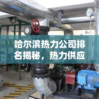 2025年6月11日 第30页