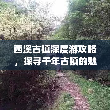 2025年6月 第18页