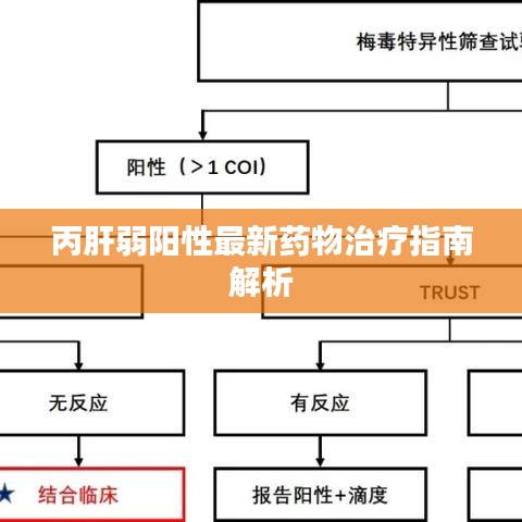 丙肝弱阳性最新药物治疗指南解析