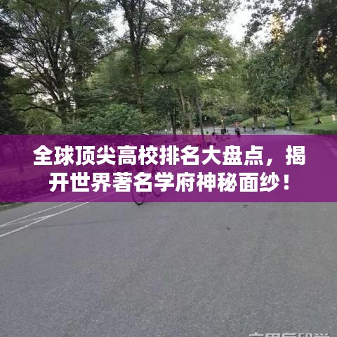2025年6月17日 第36页