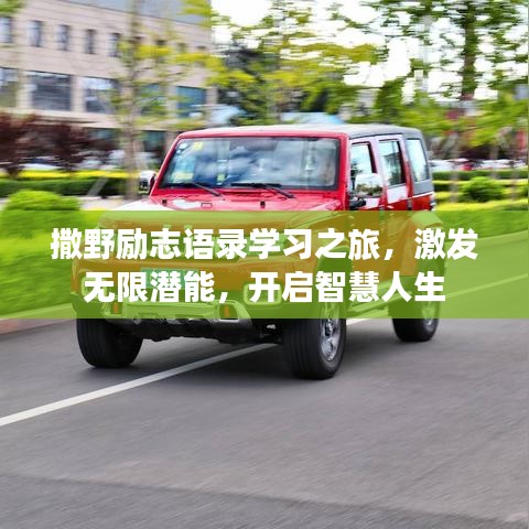 2025年6月17日 第4页
