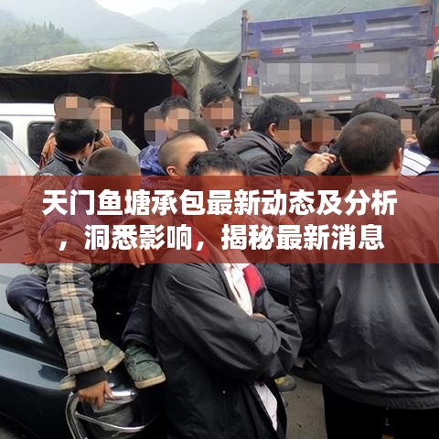 天门鱼塘承包最新动态及分析，洞悉影响，揭秘最新消息