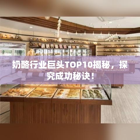 2025年6月 第72页