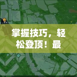 掌握技巧，轻松登顶！最新300英雄一护攻略揭秘