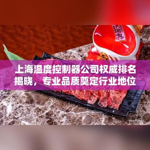 上海温度控制器公司权威排名揭晓，专业品质奠定行业地位