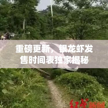 重磅更新，银龙虾发售时间表独家揭秘