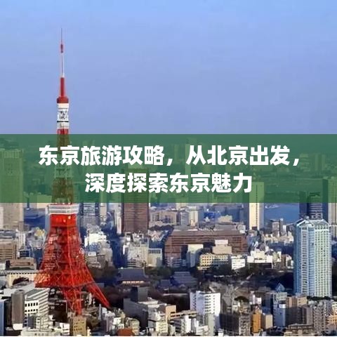 2025年6月 第105页