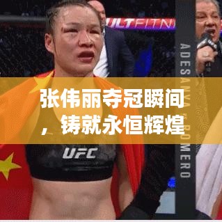 新闻动态 第114页