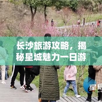 长沙旅游攻略，揭秘星城魅力一日游