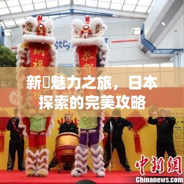 新潟魅力之旅，日本探索的完美攻略