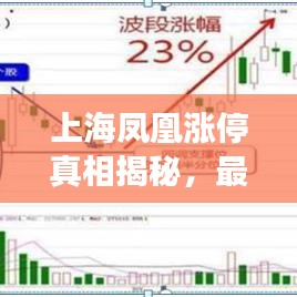 上海凤凰涨停真相揭秘，最新新闻深度剖析背后原因