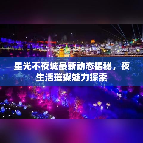 星光不夜城最新动态揭秘，夜生活璀璨魅力探索