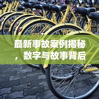 最新事故案例揭秘，数字与故事背后的惊人真相